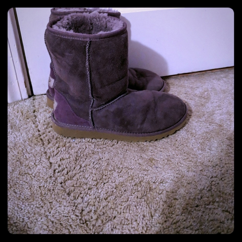 Purple Ugg Boots